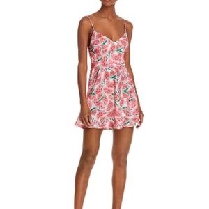 Show Me Your MuMu Regina Watermelon print dress. M.